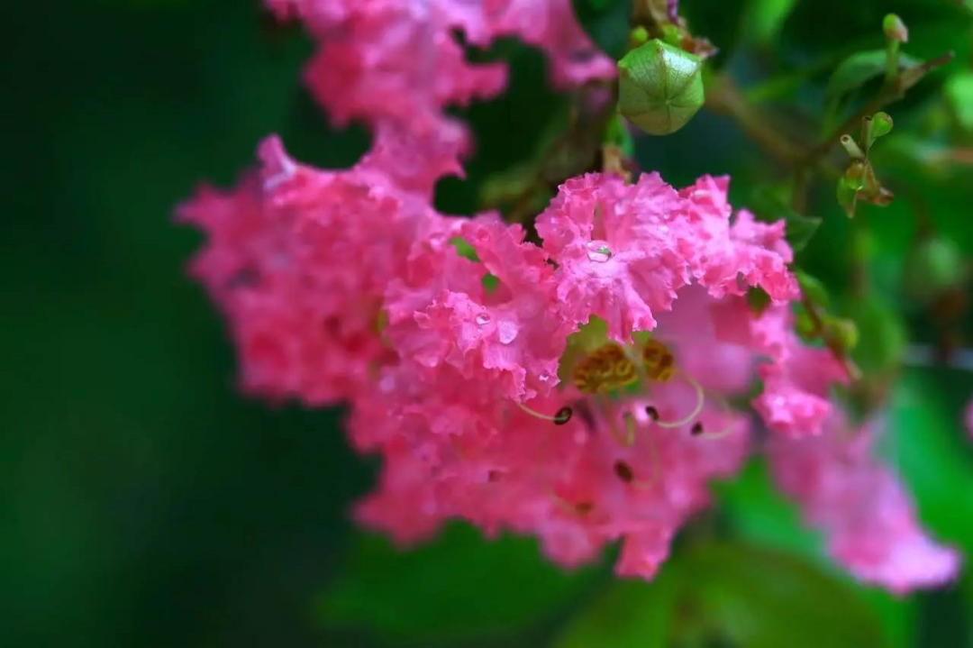 1673780876537684.png 微信圖片_20230112201812.png