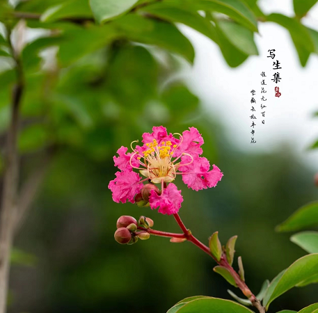 1673780882287970.png 微信圖片_20230112201817.png