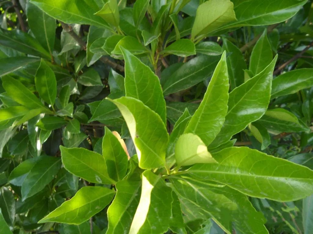 1673780963553055.jpg 微信圖片_20230110211806.jpg