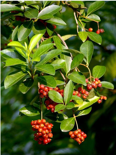 1673780970247810.png 微信圖片_20230110211816.png