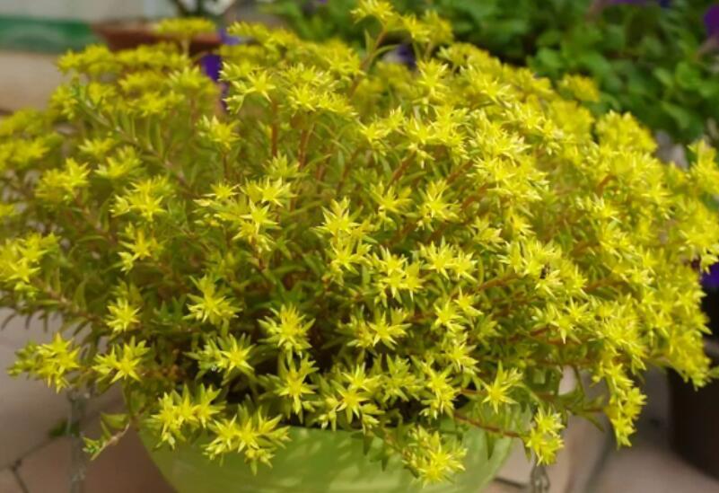 1673781028960361.jpg 1649820079281525.jpg