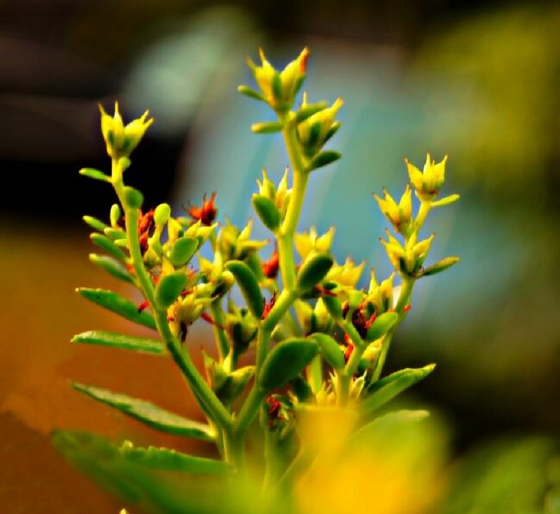 1673781049547223.jpg 1649820079707354.jpg