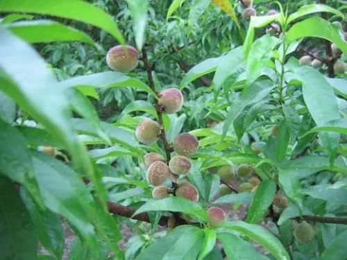 1673781125335072.jpg 微信圖片_20221023234341.jpg