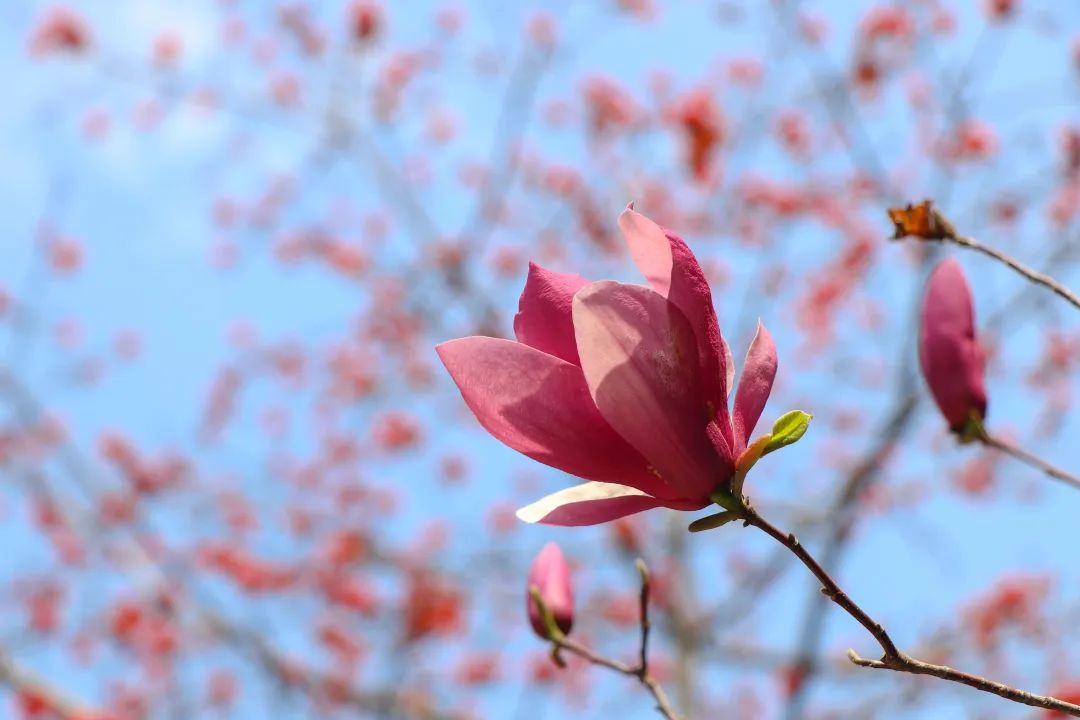 1673781305158536.jpg 微信圖片_20221125235203.jpg