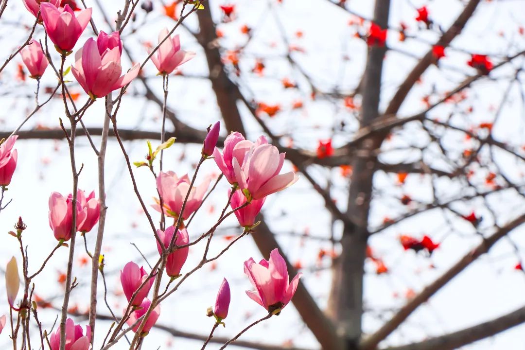 1673781330681281.jpg 微信圖片_20221125235219.jpg