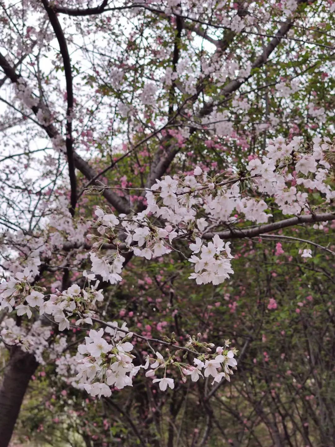 1673781388937989.jpg 微信圖片_20221101160203.jpg