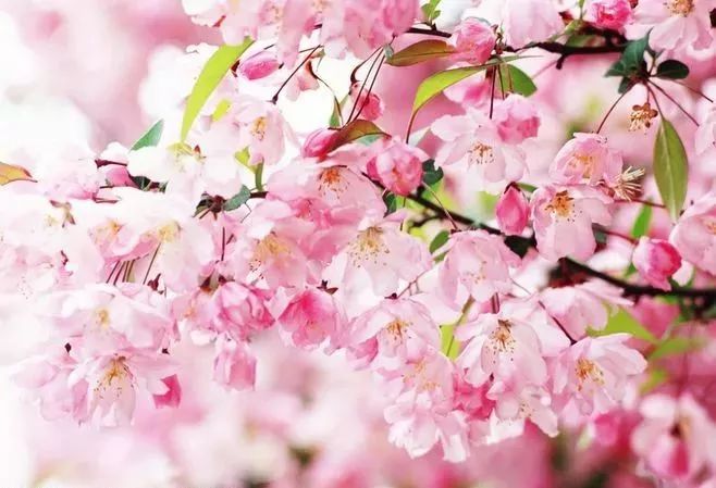 1673782002397229.jpg 微信圖片_20221023234423.jpg