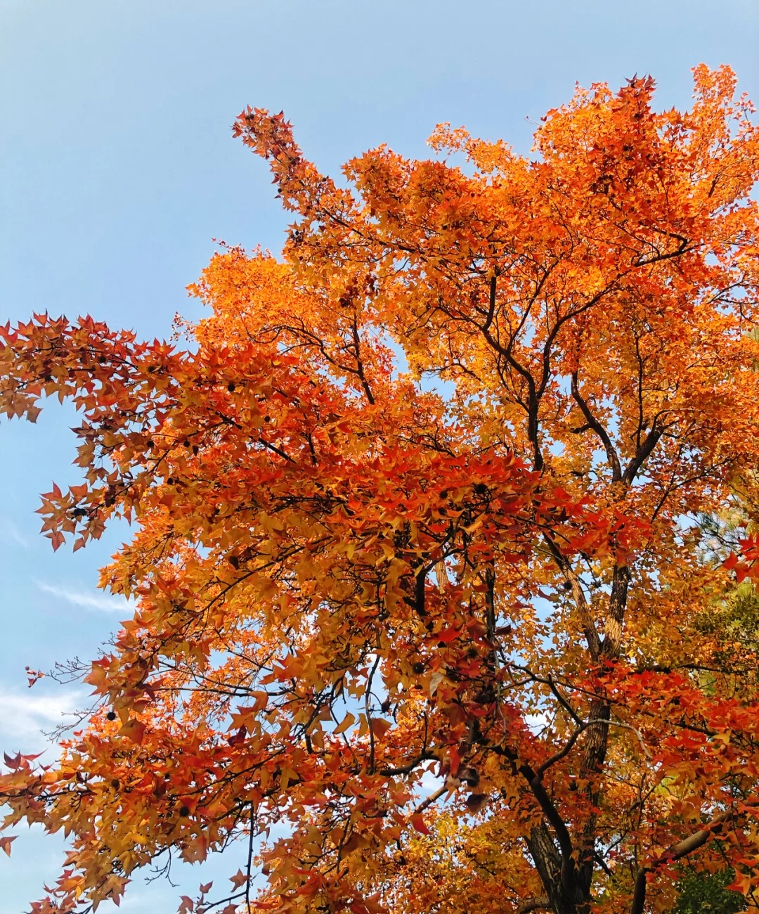 1674482832554240.png 微信圖片_20230107171458.png