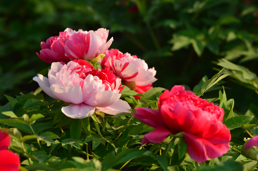 1674483018634934.png 微信圖片_20221117210643.png