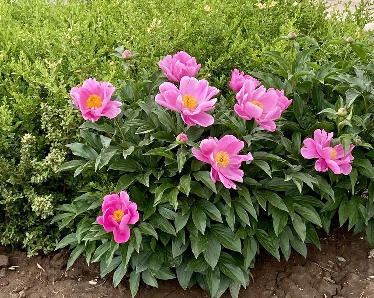 1674483031626448.jpg 微信圖片_20221114210703.jpg