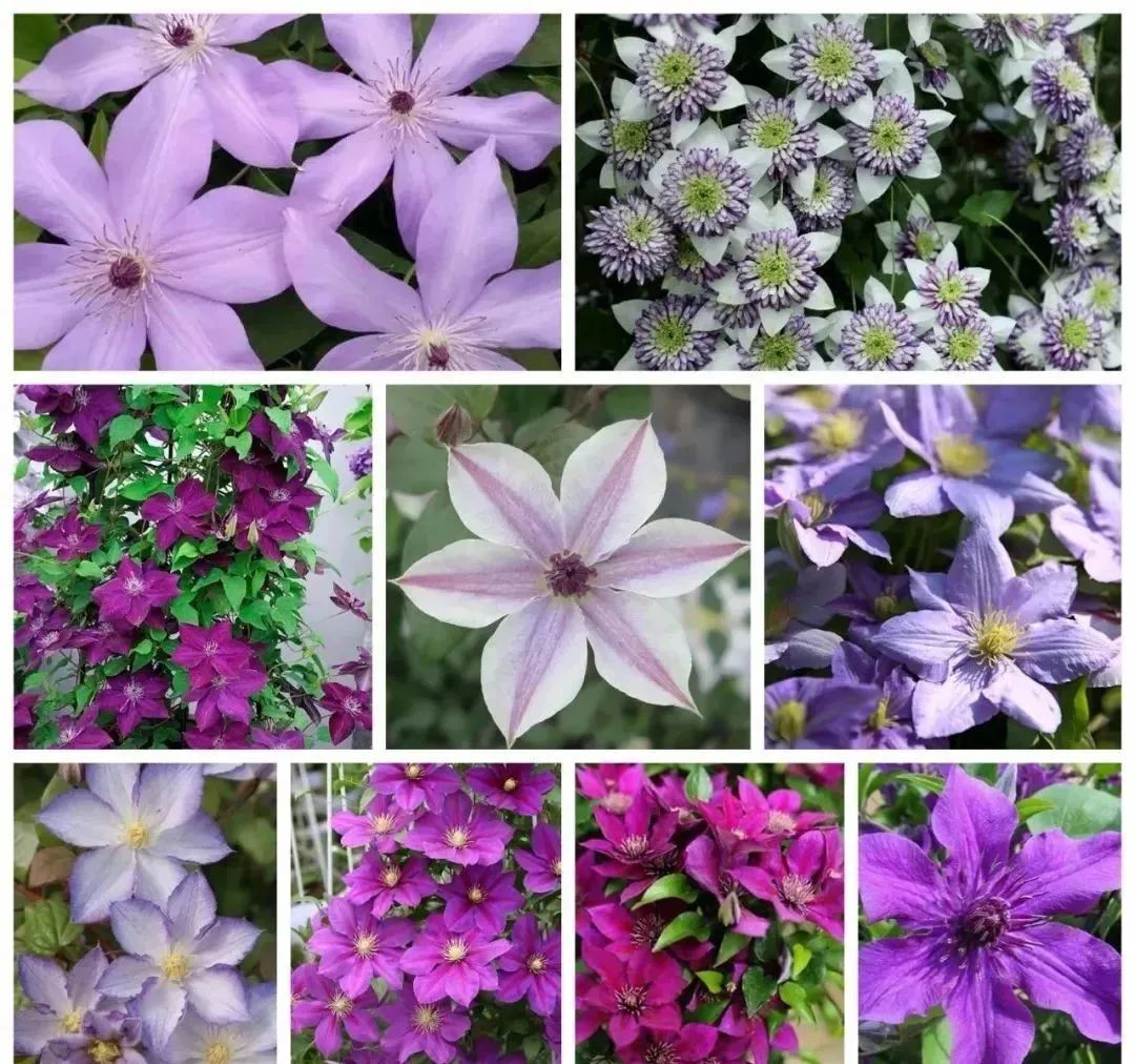 1674483126313747.jpg 微信圖片_20230123221133.jpg