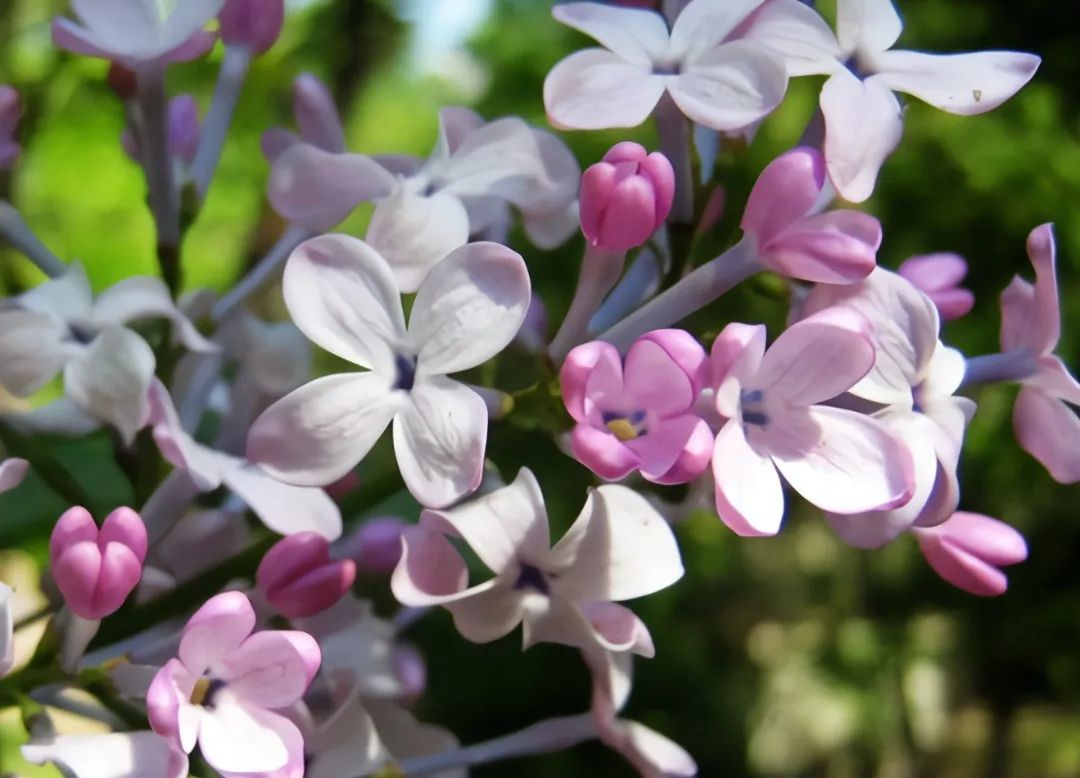 1674483324111744.jpg 微信圖片_20221104193354.jpg