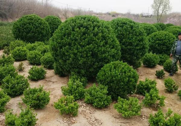 1674483943667379.jpg 微信圖片_20230107221031.jpg