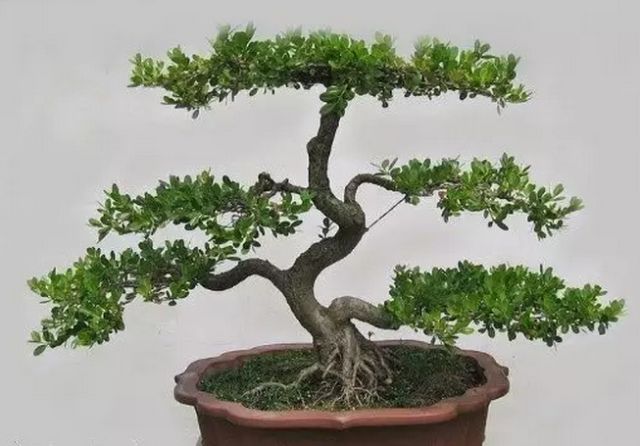 1674483953158078.jpg 微信圖片_20230112201358.jpg