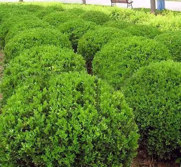 1674483965804960.jpg 微信圖片_20230112201404.jpg