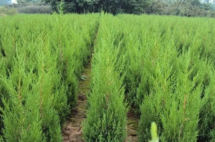 1674484187617335.jpg 微信圖片_20230107194013.jpg