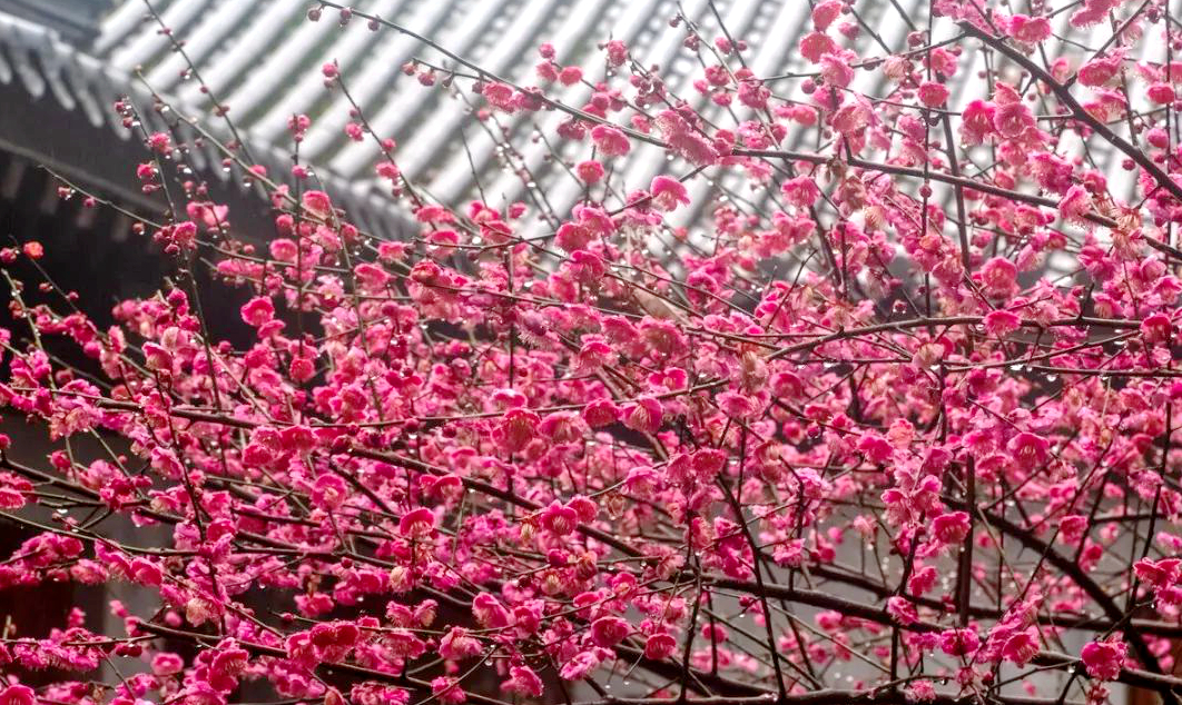 1675196792361147.jpg 微信圖片_20230108124128.jpg