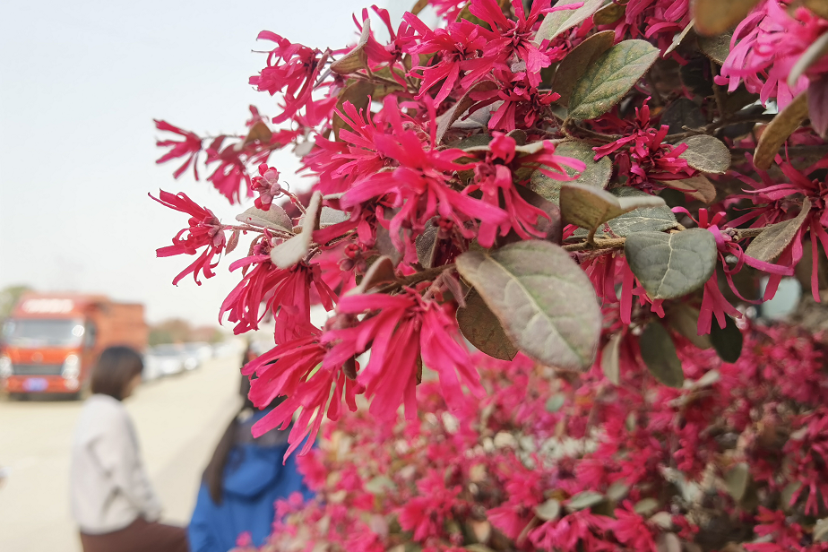 1675197528417718.png 微信圖片_20230201043751.png