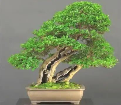 1675289493481783.jpg 微信圖片_20230106055953.jpg