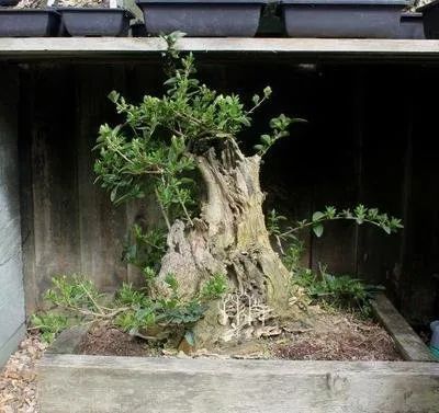 1675289508418947.jpg 微信圖片_20230106060021.jpg