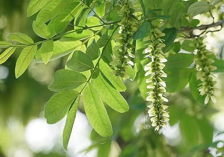 1675289676567004.jpg 微信圖片_20230202061311.jpg