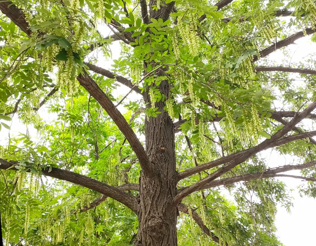 1675289691501864.jpg 微信圖片_20230202061318.jpg