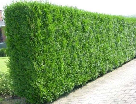 1675291470839447.jpg 微信圖片_20230108103840.jpg