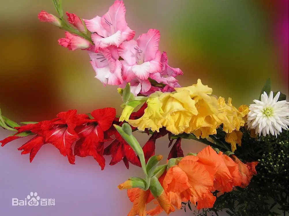 1675291828909166.jpg 微信圖片_20230202064857.jpg