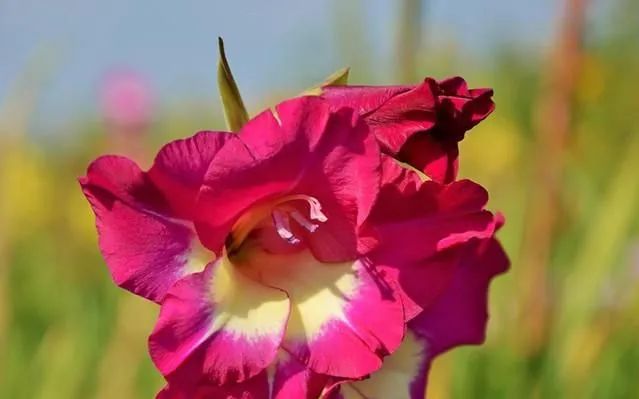 1675291849264365.jpg 微信圖片_20230202064908.jpg