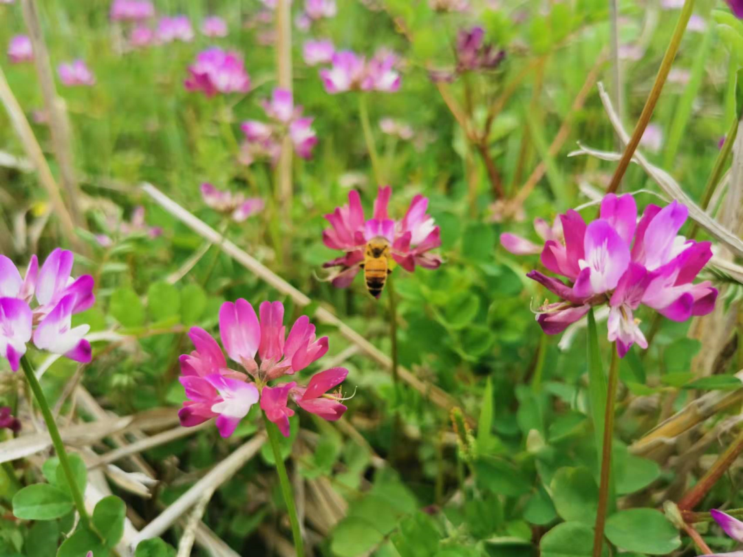 1675291912732078.png 微信圖片_20220926233646.png