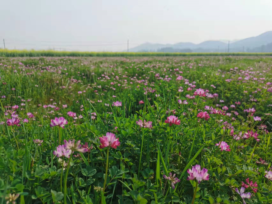 1675291922416975.png 微信圖片_20220926233708.png