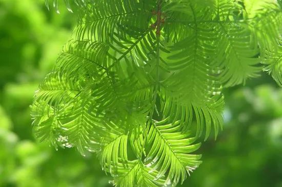 1675292222558401.jpg 微信圖片_20230201052039.jpg