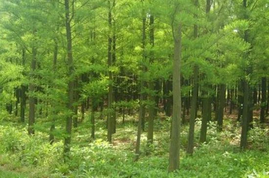 1675292230159739.jpg 微信圖片_20230201052041.jpg