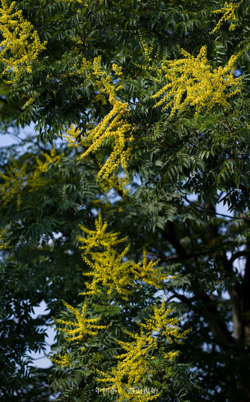 1675292291654315.jpg 微信圖片_20230107200510.jpg