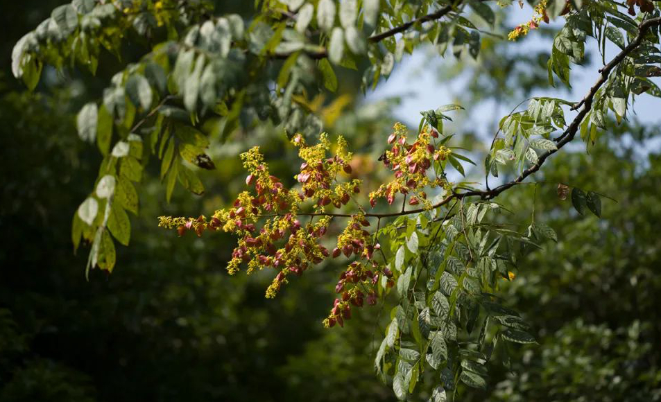 1675292313129384.jpg 微信圖片_20230107200548.jpg