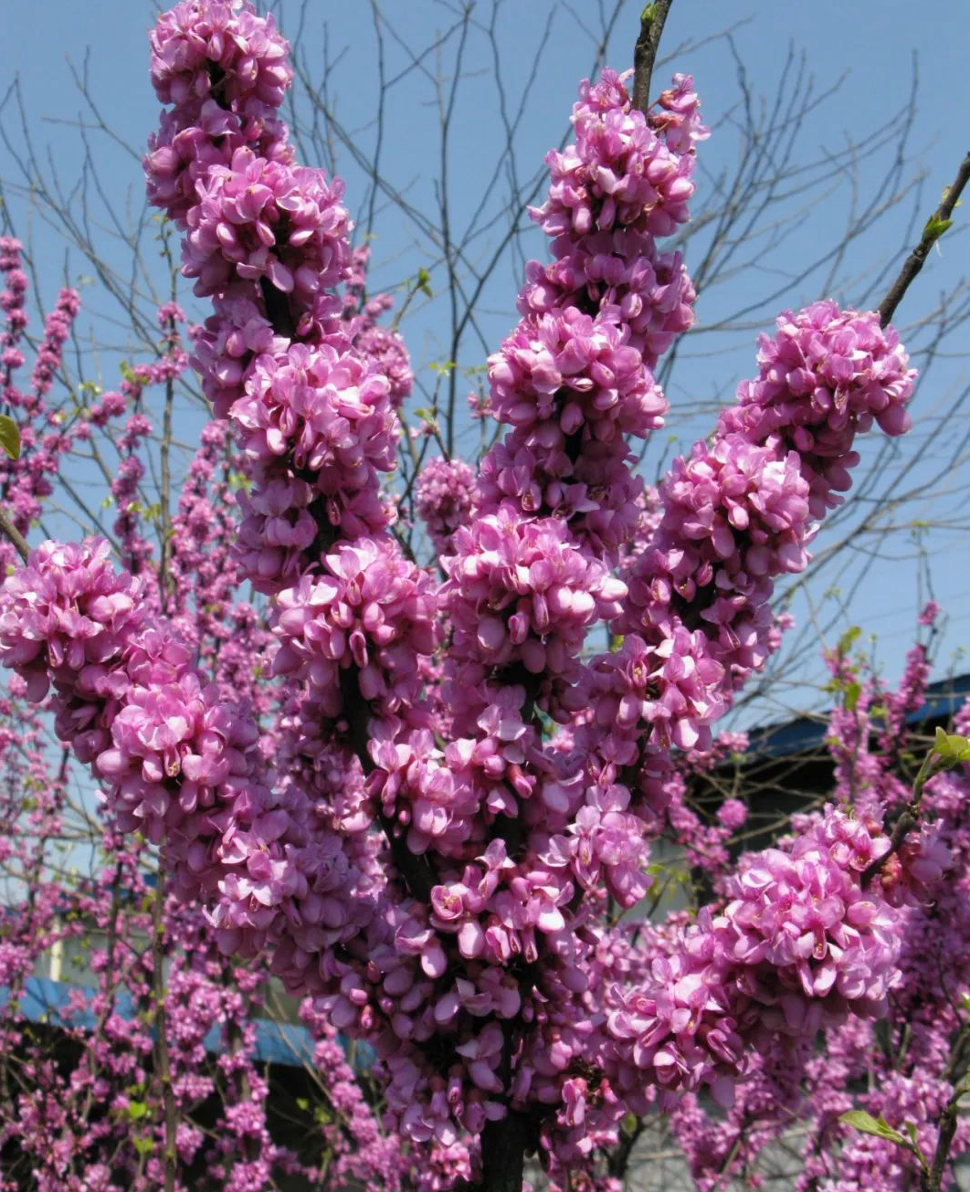 1675479092821475.jpg 微信圖片_20230201051100.jpg