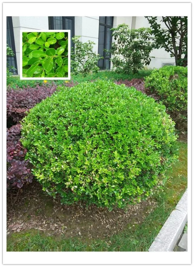 1675480111963081.jpg 微信圖片_20230112201347.jpg