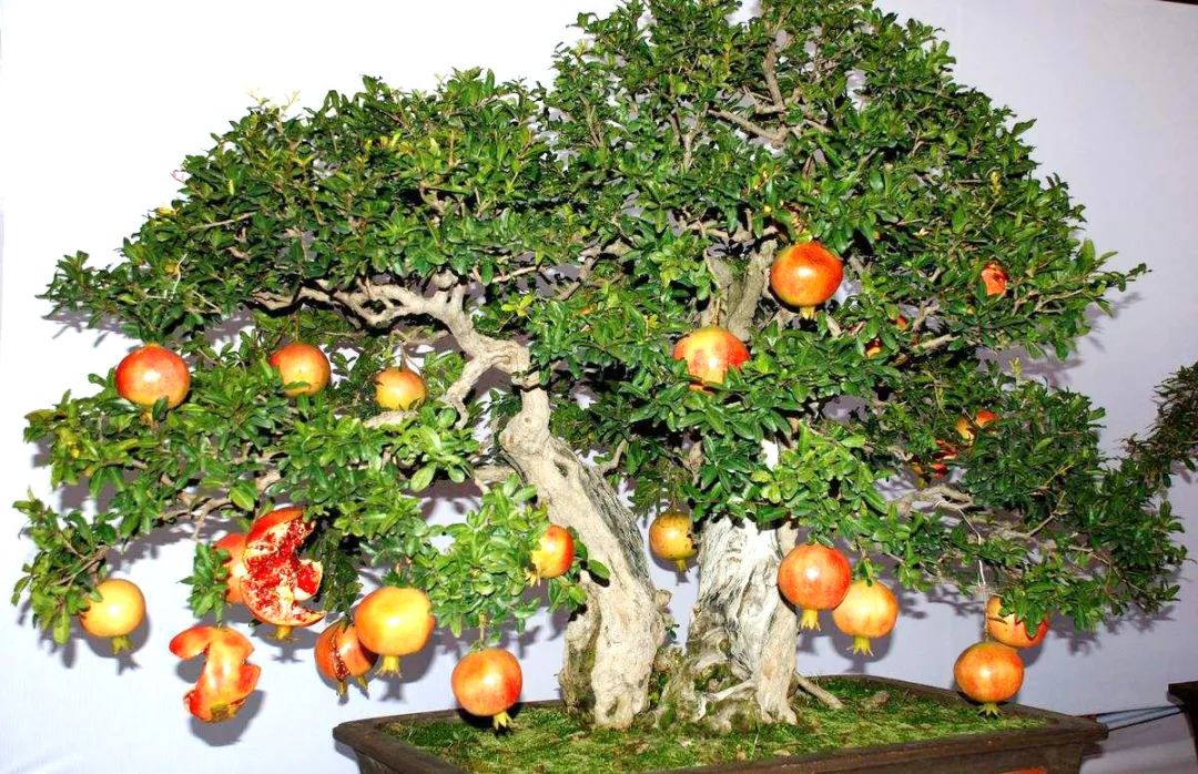 1675696095900208.jpg 微信圖片_20230107163806.jpg