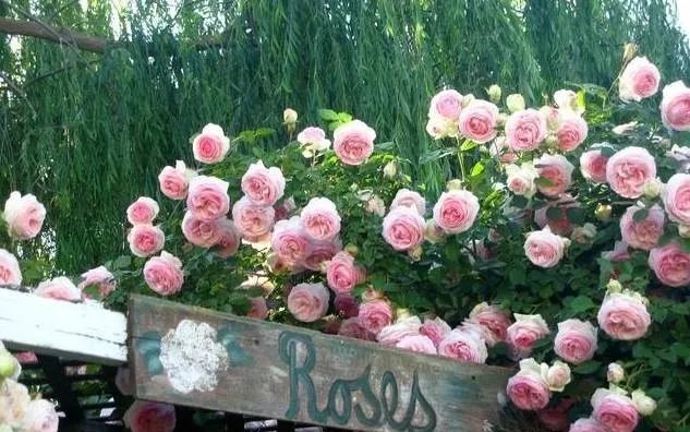 1675701467248647.jpg 微信圖片_20230108121932.jpg