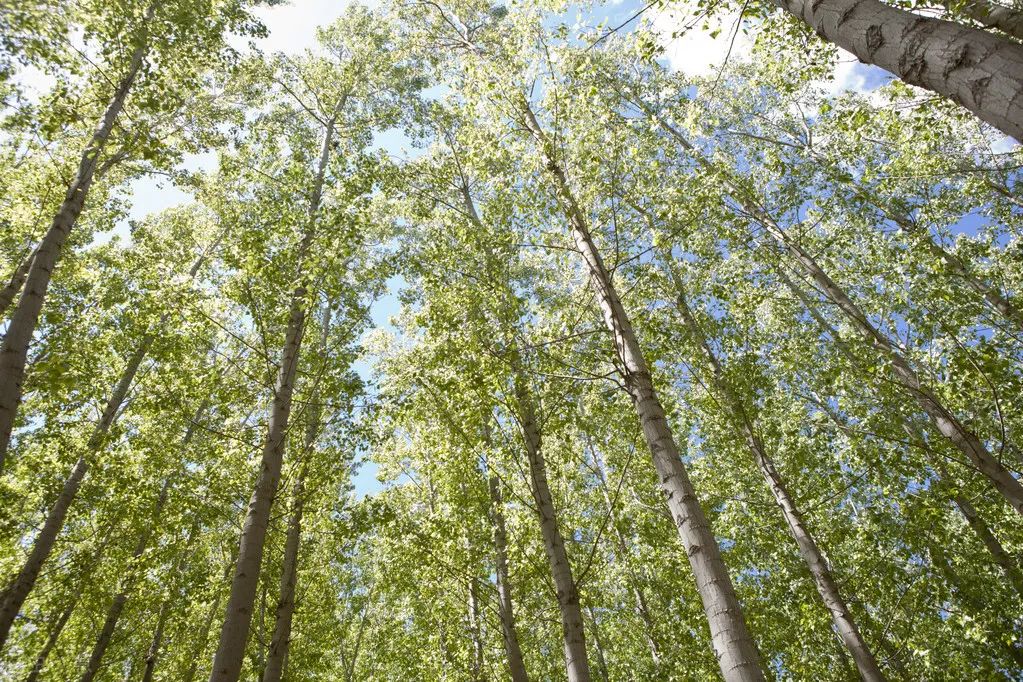 1675701524763136.jpg 微信圖片_20230108133956.jpg