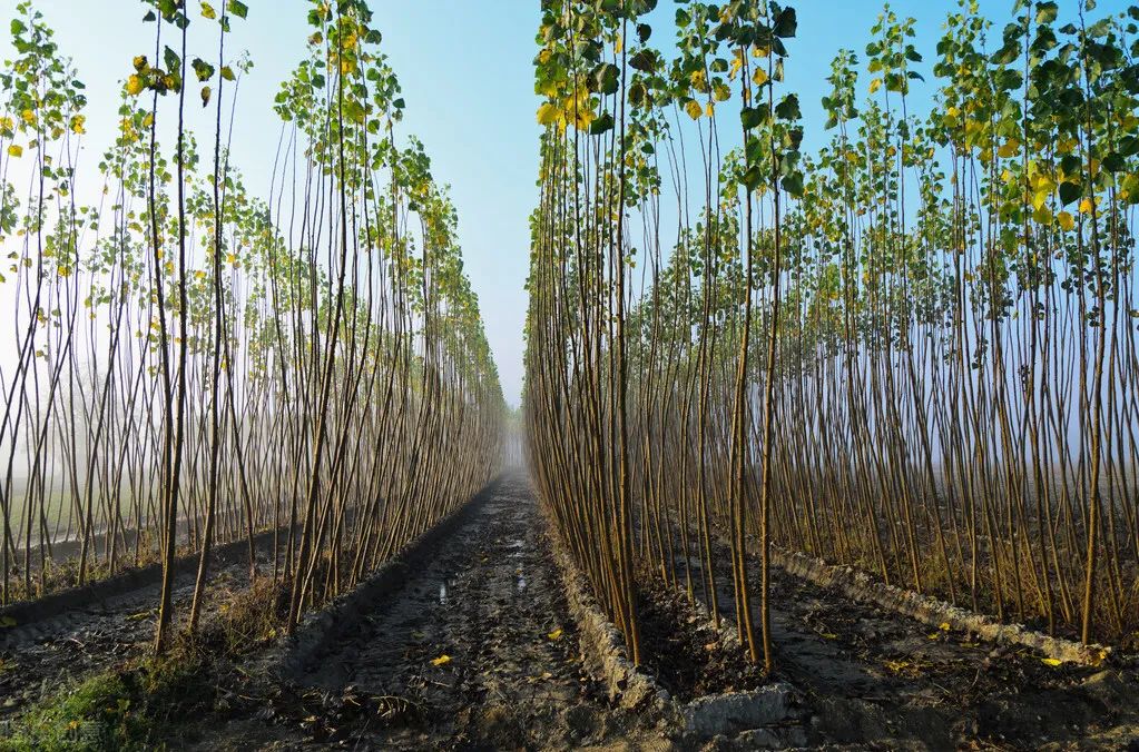 1675701531937161.jpg 微信圖片_20230108134016.jpg