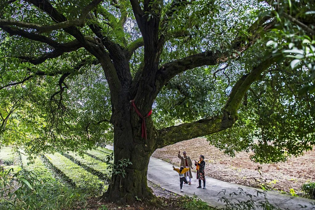 1675701688146938.jpg 微信圖片_20221026222430.jpg