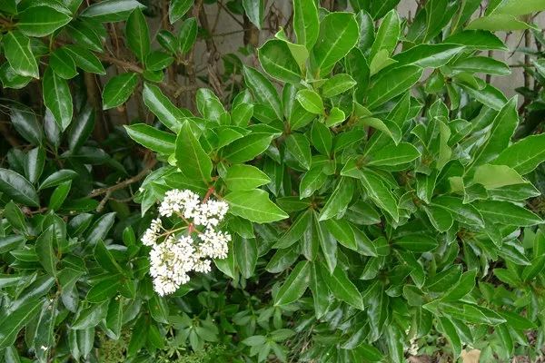 1675701872874874.jpg 微信圖片_20230110211818.jpg