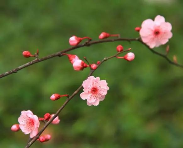 1675701987706432.jpg 微信圖片_20230207004545.jpg