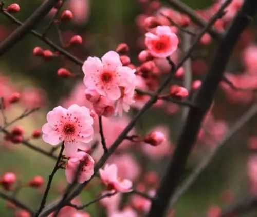 1675702004670762.jpg 微信圖片_20230207004539.jpg