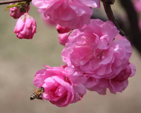 1675702011636854.jpg 微信圖片_20230207004542.jpg