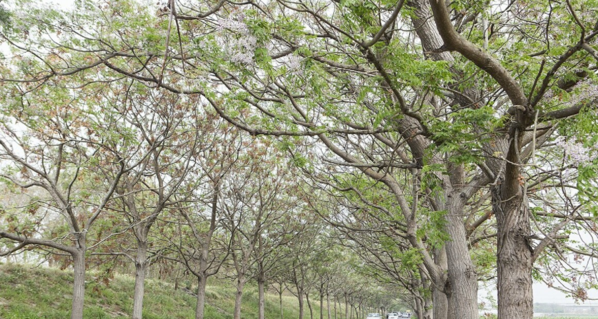 1676039165237873.png 微信圖片_20221023220242.png