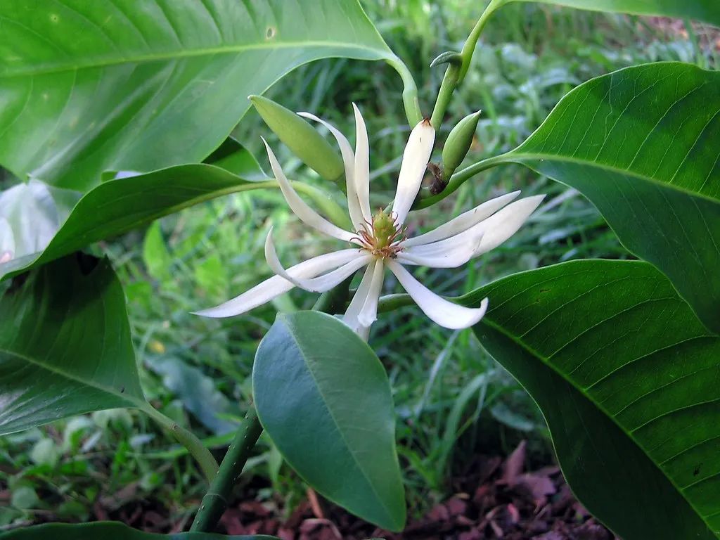 1676070430477034.jpg 微信圖片_20230112000050.jpg