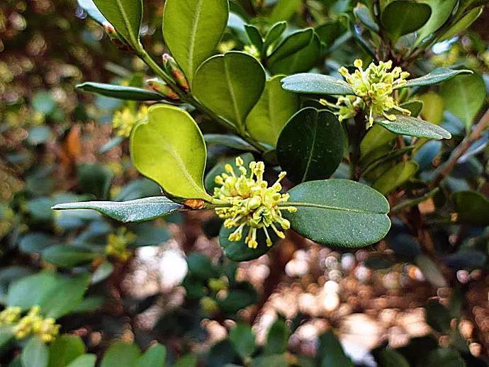 1676558298798862.jpg 微信圖片_20230204140815.jpg