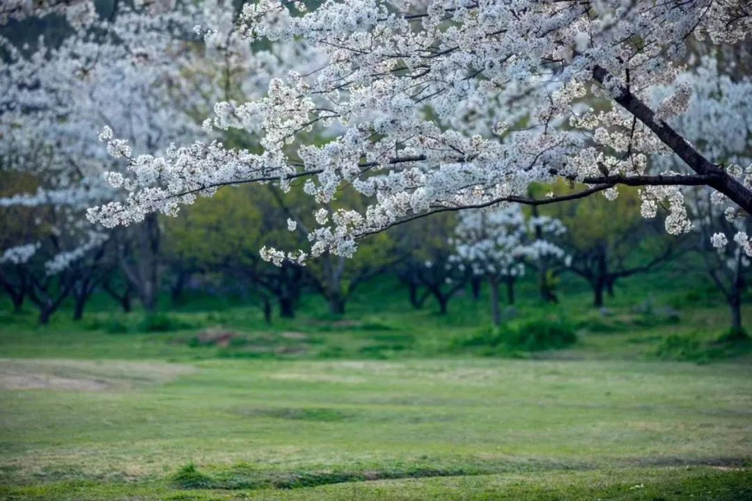 1676580987288379.jpg 微信圖片_20221101160156.jpg